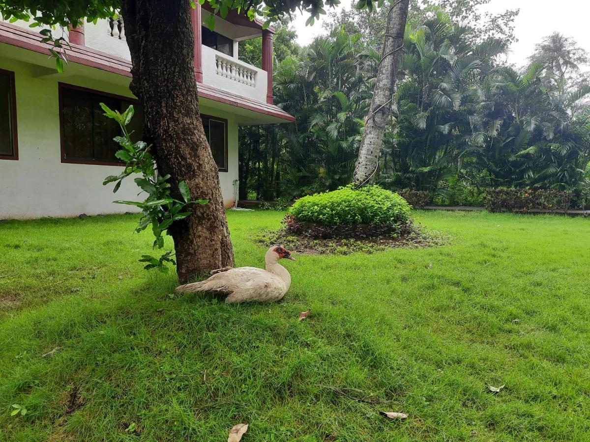 Seawoods Beach Hotel Dahanu Extérieur photo